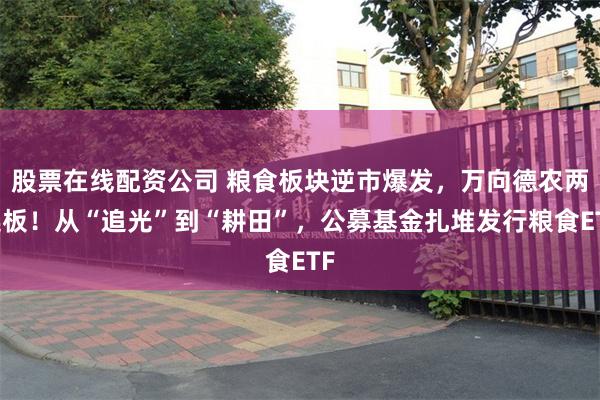 股票在线配资公司 粮食板块逆市爆发，万向德农两连板！从“追光”到“耕田”，公募基金扎堆发行粮食ETF
