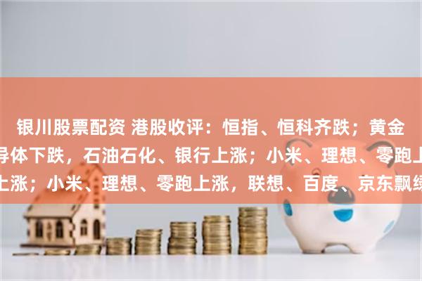 银川股票配资 港股收评：恒指、恒科齐跌；黄金股重挫，医药生物、半导体下跌，石油石化、银行上涨；小米、理想、零跑上涨，联想、百度、京东飘绿