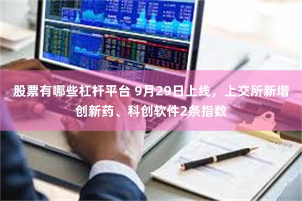 股票有哪些杠杆平台 9月29日上线，上交所新增创新药、科创软件2条指数