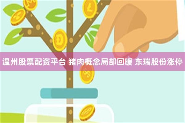 温州股票配资平台 猪肉概念局部回暖 东瑞股份涨停