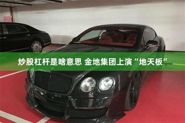 炒股杠杆是啥意思 金地集团上演“地天板”