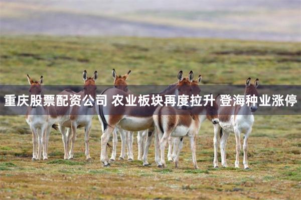 重庆股票配资公司 农业板块再度拉升 登海种业涨停