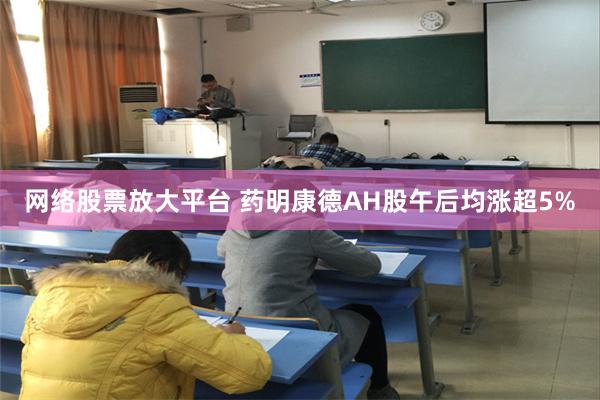 网络股票放大平台 药明康德AH股午后均涨超5%