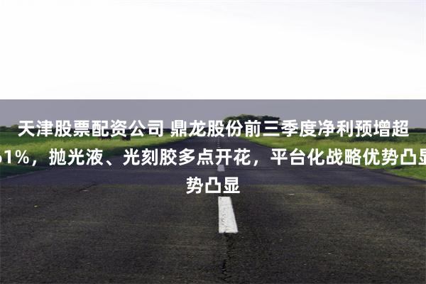 天津股票配资公司 鼎龙股份前三季度净利预增超61%，抛光液、光刻胶多点开花，平台化战略优势凸显