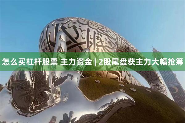 怎么买杠杆股票 主力资金 | 2股尾盘获主力大幅抢筹