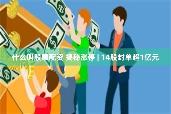 什么叫股票配资 揭秘涨停 | 14股封单超1亿元