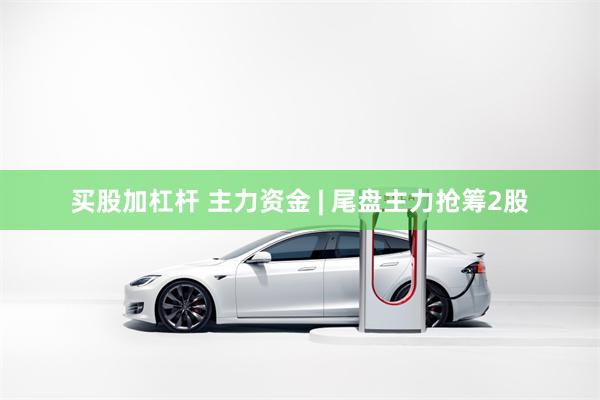 买股加杠杆 主力资金 | 尾盘主力抢筹2股