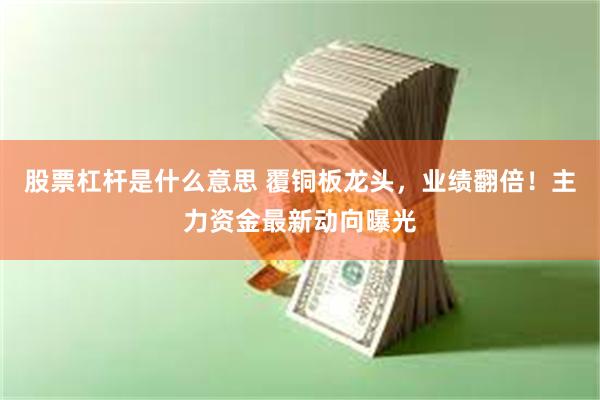 股票杠杆是什么意思 覆铜板龙头，业绩翻倍！主力资金最新动向曝光